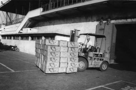 紙箱裝香蕉使用堆高機出倉裝船。